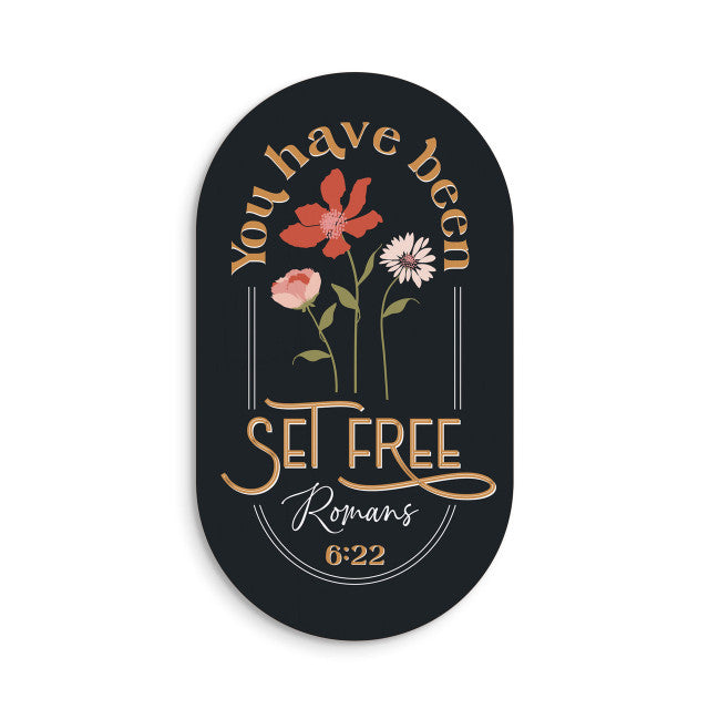 Set Free Magnet